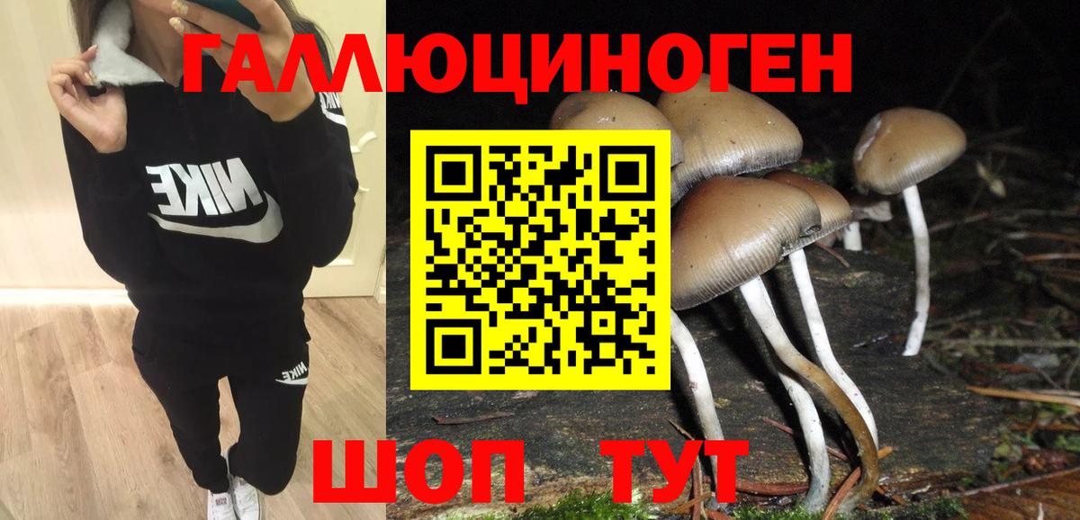 Галлюциногенные грибы ЛСД  купить  цена  Зеленогорск  Вход с VPN 