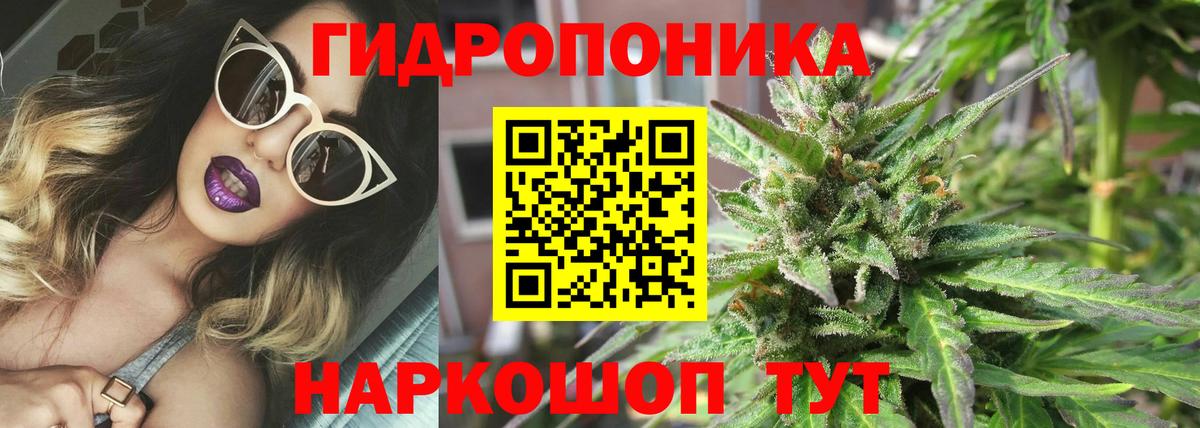 Шишки марихуана план Зеленогорск